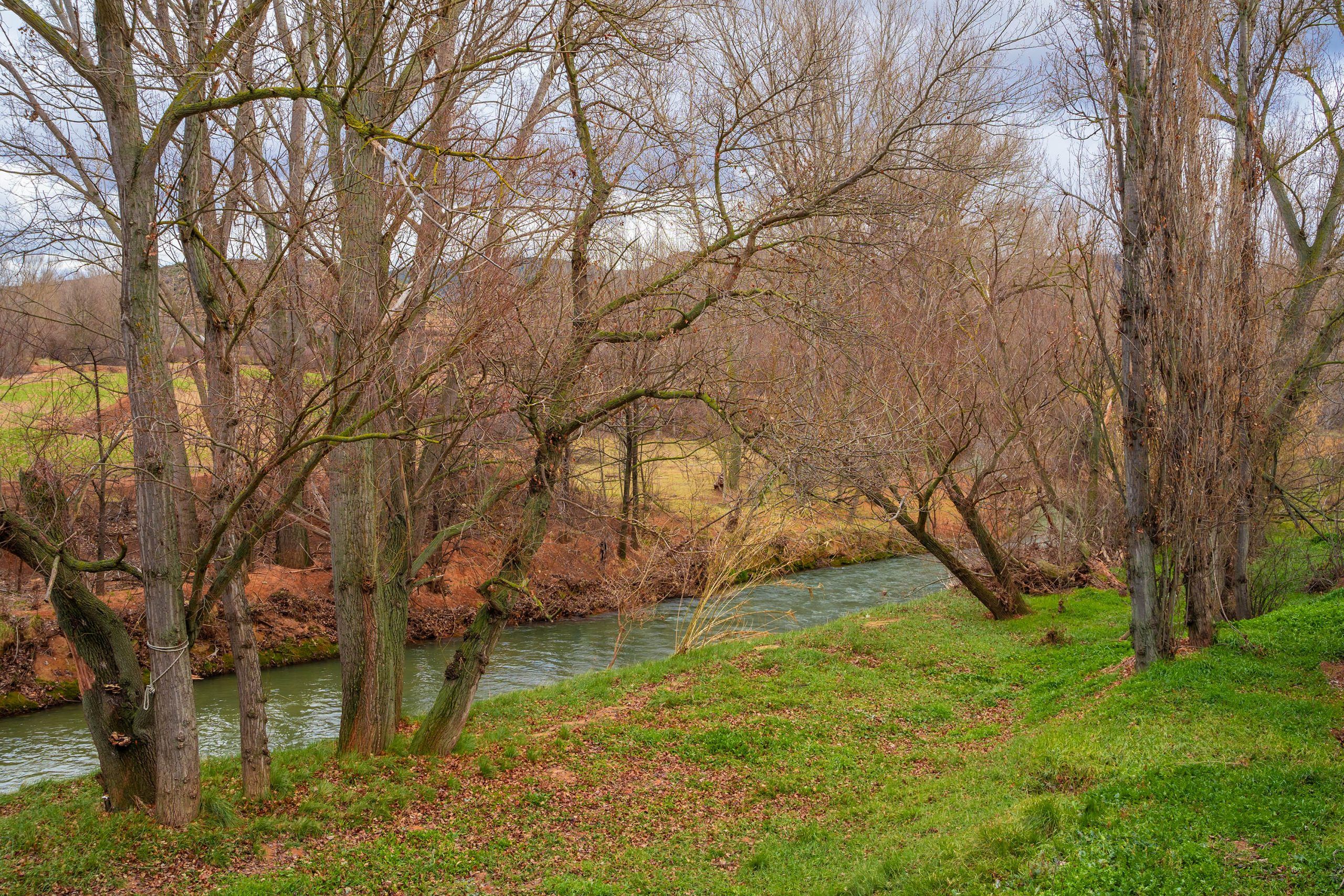 Apartamento El Tranco - foto de la casa rural
